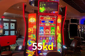 Experimente o Login Seguro Premium no 55kd
